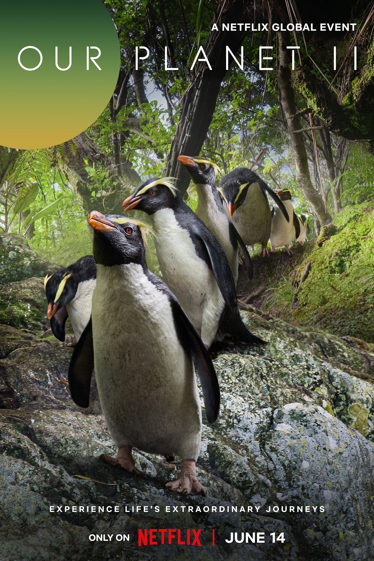 Our Planet II poster