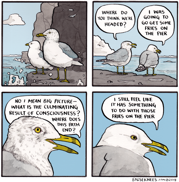Four-panel False Knees comic: one gull asks where consciousness is ultimately headed; the other thinks it has something to do with getting fries on the pier.