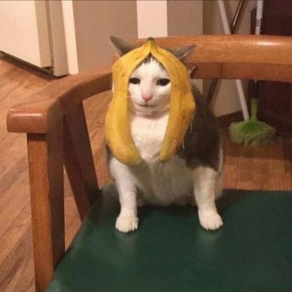 r8 me hat image shared in Messenger.